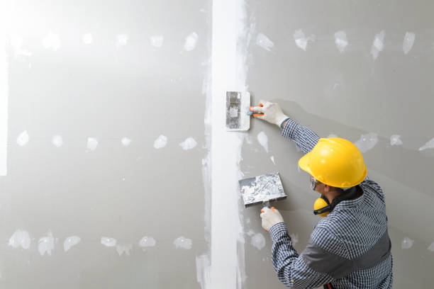Mold Remediation for Vacation Homes in Grapevine, TX