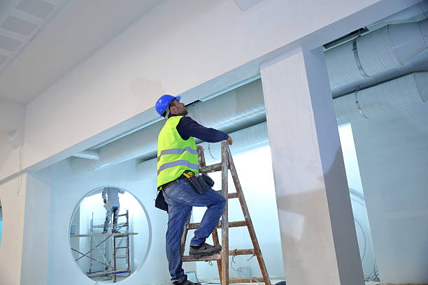 Reliable Grapevine, TX Mold Removal Solutions